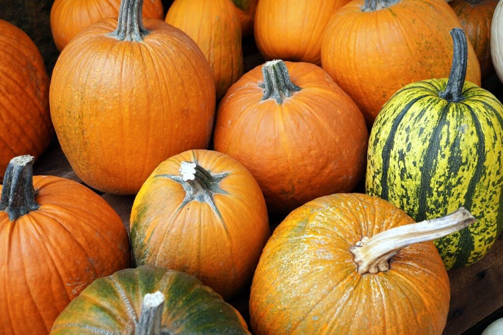 zucca